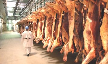 exportações de carne bovina - Reino Unido reabre mercado e libera carne bovina dos EUA sem tarifas após mais de 5 anos