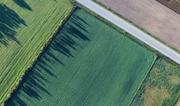 Imóvel rural de interesse da reforma agrária pode ser usado para quitar dívida com União