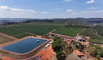 Café com Origem: a Chapada de Minas na rota da Indicação Geográfica