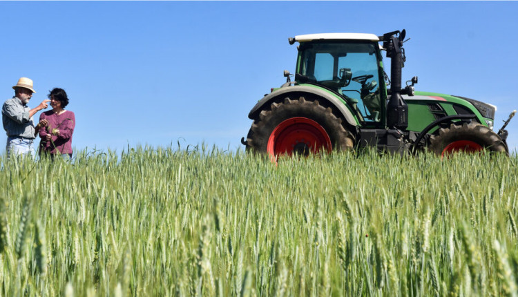 Faesp Informa: Agropecuária é destaque na produção científica brasileira