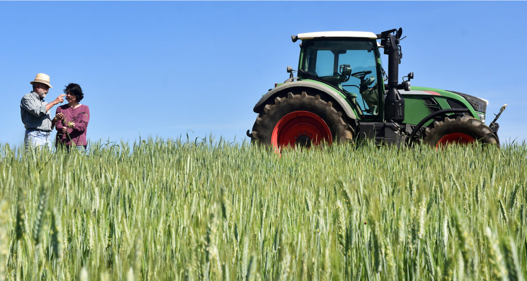 Faesp Informa: Agropecuária é destaque na produção científica brasileira