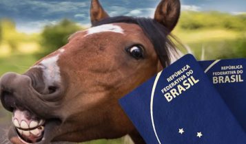 Lei do Passaporte Equestre sancionada em SP: Confira os detallhes