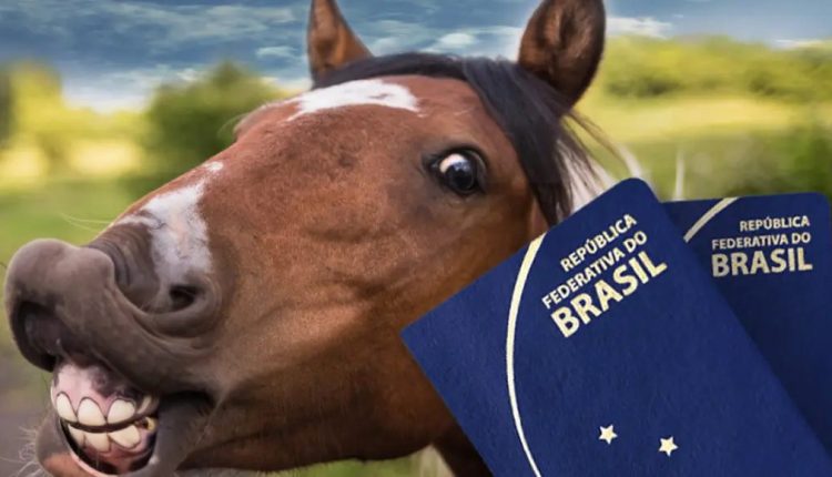 Lei do Passaporte Equestre sancionada em SP: Confira os detallhes