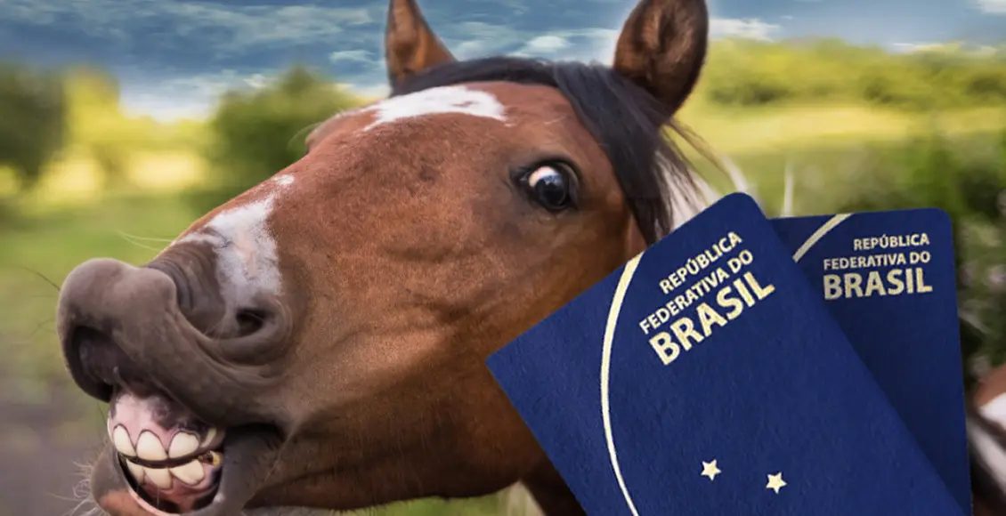 Lei do Passaporte Equestre sancionada em SP: Confira os detallhes