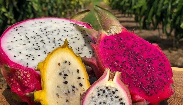 Pitaya