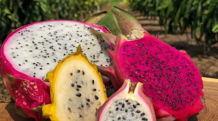 Pitaya