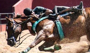 Conheça o único hexacampeão brasileiro de vaquejada: Celso Vitório