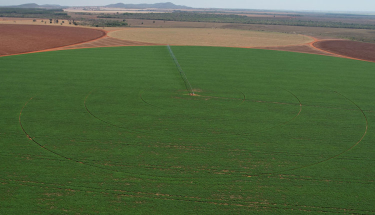 irrigação por pivô central