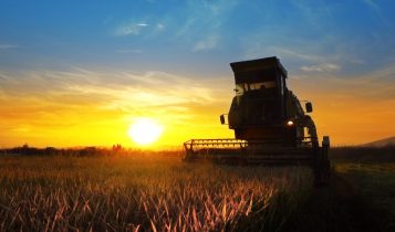 Comprar ou alugar? Descubra o que compensa mais na hora de mecanizar a fazenda