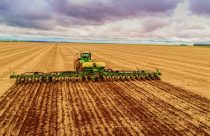 Argentina: plantio da safra 2025/26 de soja atinge 88,3%