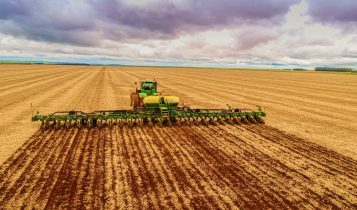 Argentina: plantio da safra 2025/26 de soja atinge 88,3%