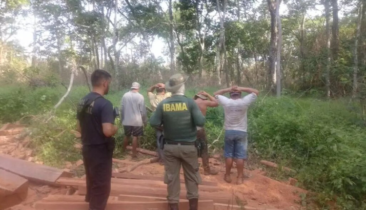 Indígenas são flagrados em exploração ilegal de madeira em terra KadiwéuIndígenas são flagrados em exploração ilegal de madeira em terra Kadiwéu