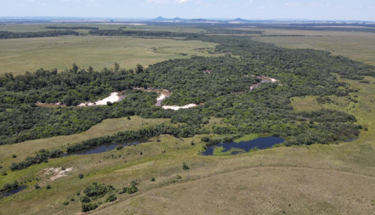 recuperação ambiental pampa