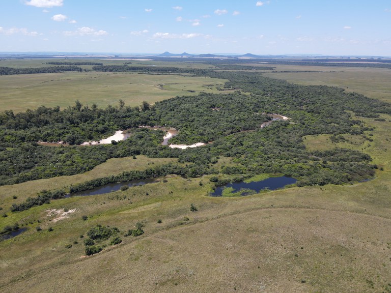 recuperação ambiental pampa