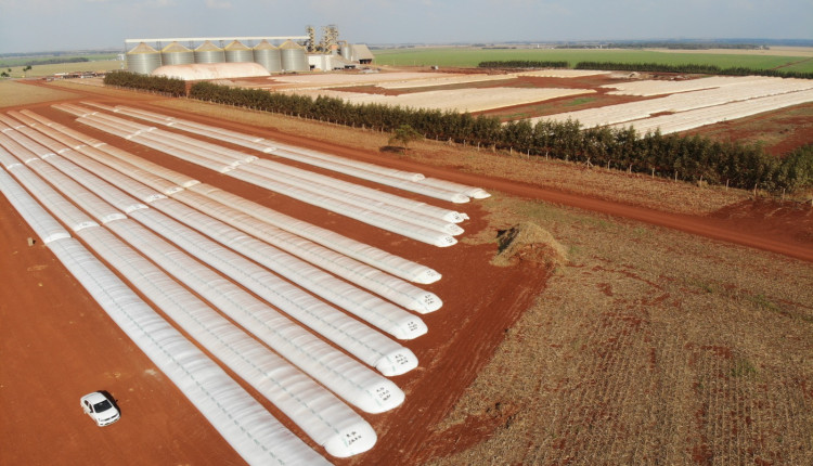 silo bolsa para armazenamento de graos da safra brasileira