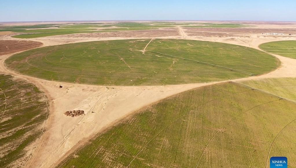 terras agricolas china deserto egito