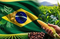 Principais momentos do agronegócio brasileiro em 2024: Os 10 fatos mais relevantes