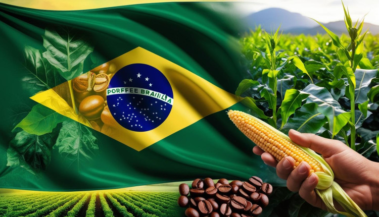 Principais momentos do agronegócio brasileiro em 2024: Os 10 fatos mais relevantes