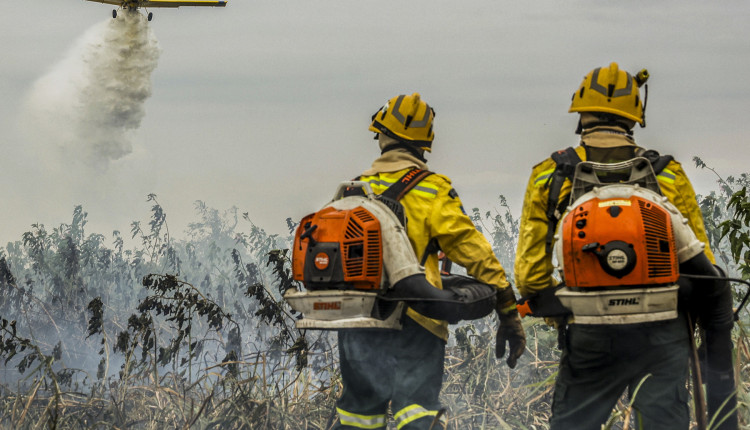 Aviação agrícola lançou 40,1 milhões de litros de água contra incêndios em 2024