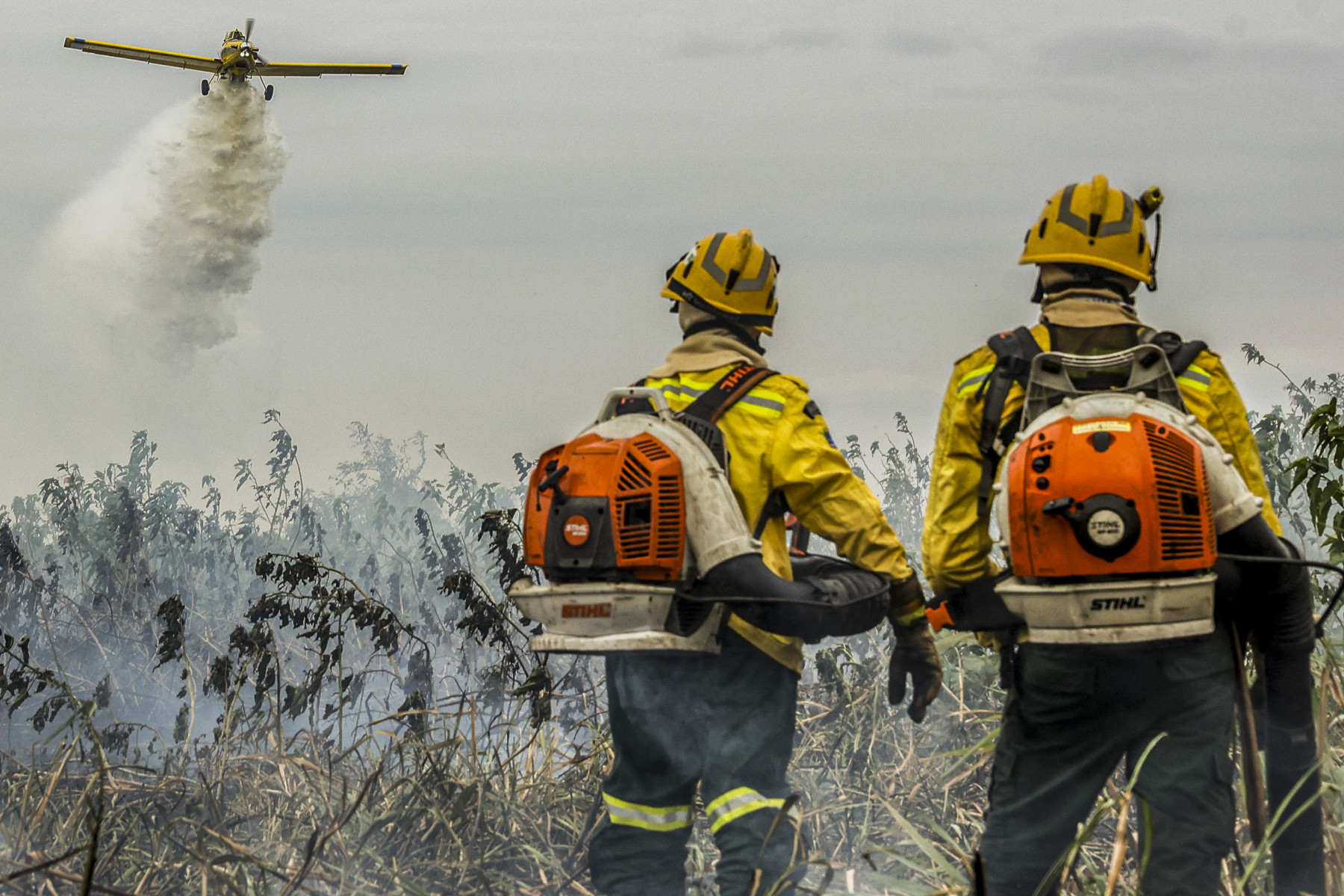 Aviação agrícola lançou 40,1 milhões de litros de água contra incêndios em 2024