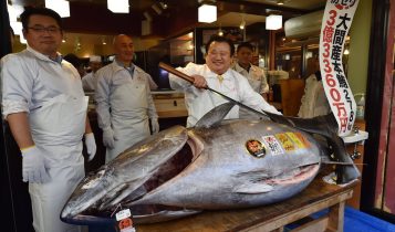 Atum do tamanho de uma motocicleta é leiloado por mais de US$ 1 milhão no Japão