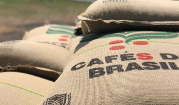 exportações de café