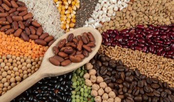 Mapa celebra renovação do PACIC e reforça parceria com o México para exportação de alimentos essenciais