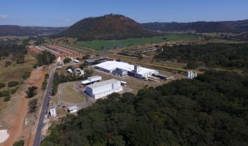 Fider cresce em 80% capacidade de produção de tilápia e projeta expansão