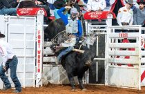 Brasileiro Leandro Zampollo conquista o Last Cowboy Standing da PBR em Fort Worth