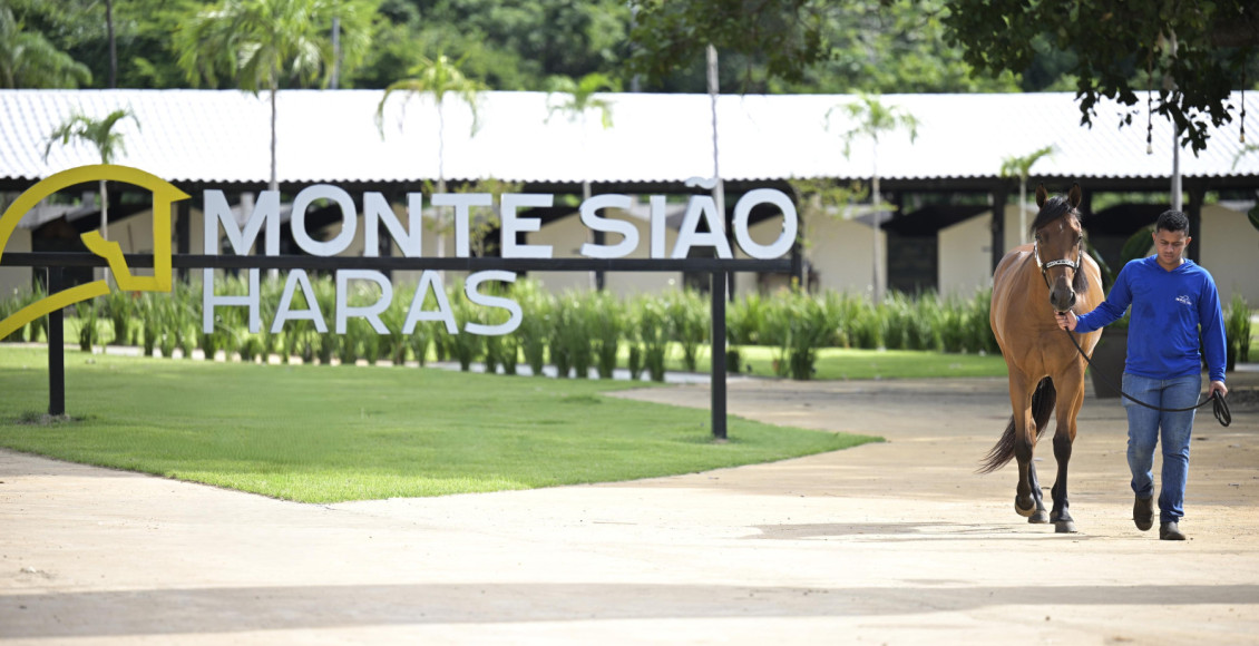 Monte Siao Haras