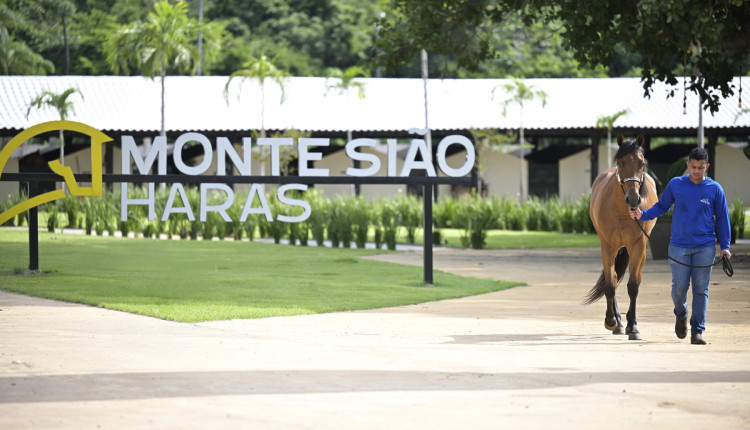 Monte Siao Haras