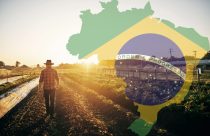 Conheça as 10 maiores empresas do agronegócio brasileiro