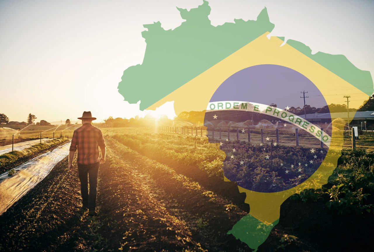 Conheça as 10 maiores empresas do agronegócio brasileiro