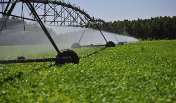 Política Estadual de Agricultura Irrigada incentiva aumento da área de irrigação em MT