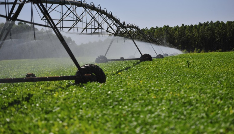 Política Estadual de Agricultura Irrigada incentiva aumento da área de irrigação em MT