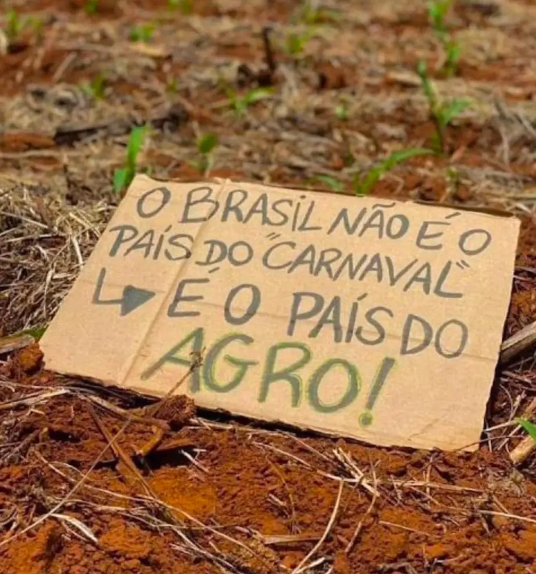 Agronegócio: A potência gigante que impulsiona o Brasil