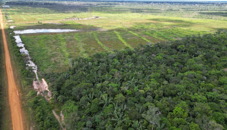 Mauro Mendes vai vetar projeto de lei que altera sistema ambiental em Mato Grosso