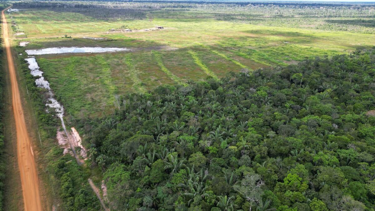 Mauro Mendes vai vetar projeto de lei que altera sistema ambiental em Mato Grosso