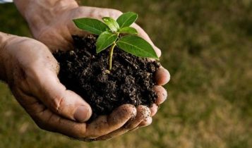 Mercado de insumos agropecuários enfrenta desafios, mas Fex Agro projeta crescer 62% em 2025