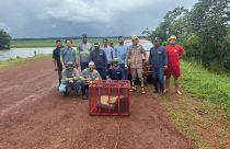 Sucuri de 5 metros é capturada em fazenda do Mato Grosso