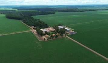 Contagem regressiva: Só faltam 30 dias para a abertura nacional da colheita da soja!