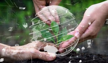 IA avalia o estoque de carbono no solo das fazendas de gado da Marfrig