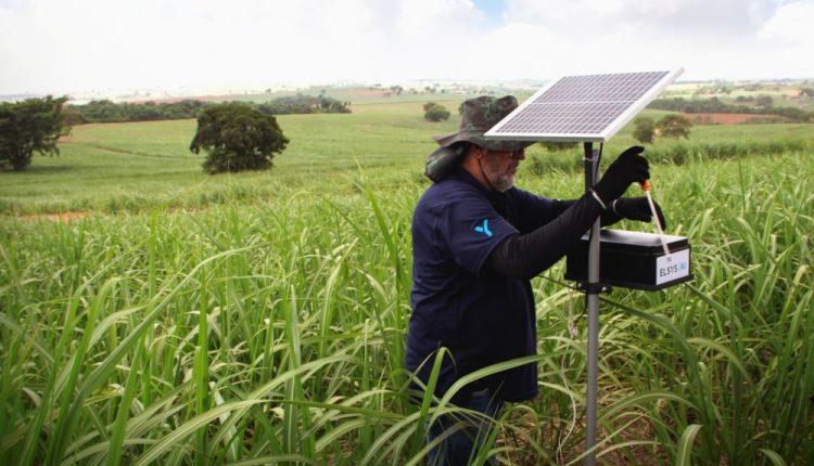 Parceria vai levar conectividade e tecnologia digital para manejo de pragas em pequenas e médias propriedades