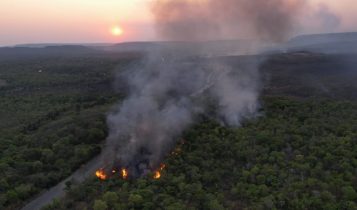Incêndios no Brasil devastam área maior que a Itália em 2024
