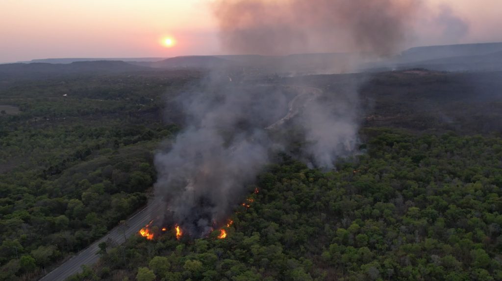 Incêndios no Brasil devastam área maior que a Itália em 2024