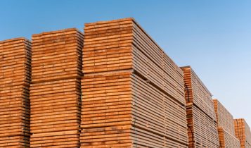 Guerra entre EUA e Irã impacta exportações brasileiras de madeira e amplia incertezas no setor