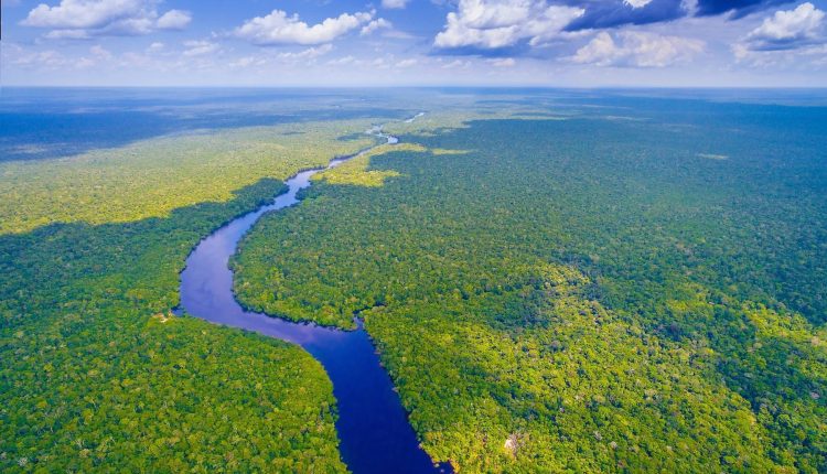 Rio Amazonas: descubra por que ele é o maior e mais importante do mundo