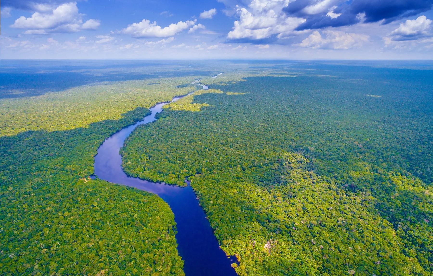 Rio Amazonas: descubra por que ele é o maior e mais importante do mundo