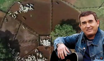 Saiba quantos bois Amado Batista vende por ano