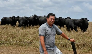 Francisco Veloso ampliará número de cabeças leiteiras em dois anos | Foto: Adriano Abreu